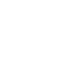 VOLKSWAGEN ARGENTINA